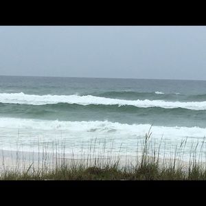 Meet your Posher, Rhonda